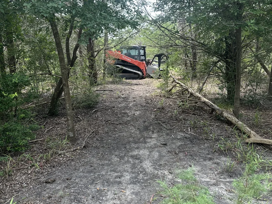 Skid steer with a mulching head on a mulched trail through the woods, forestry mulching