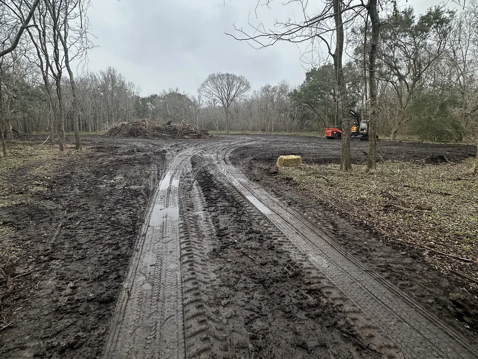 Track ruts across a cleared lot with a brush pile and trees behind, land clearing