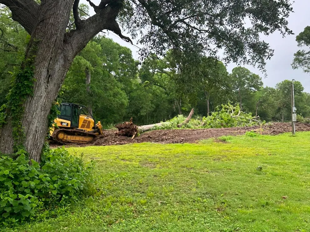 Dozer pushing over trees at the edge of a green yard, land clearing