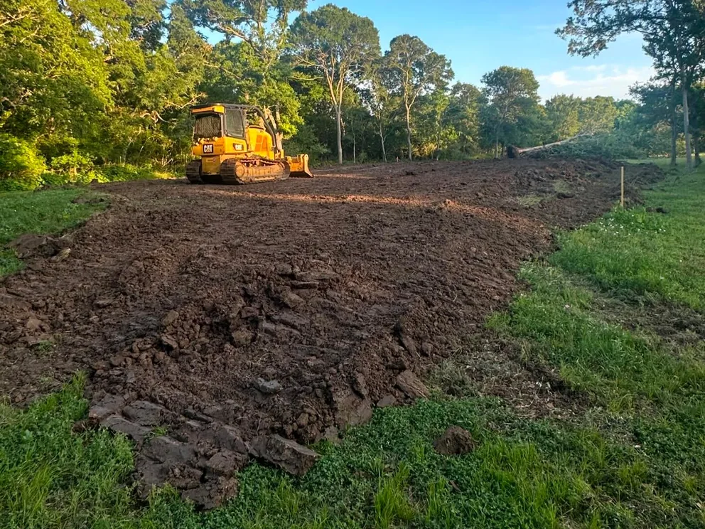 Dozer on a strip of freshly cleared ground beside the trees, land clearing