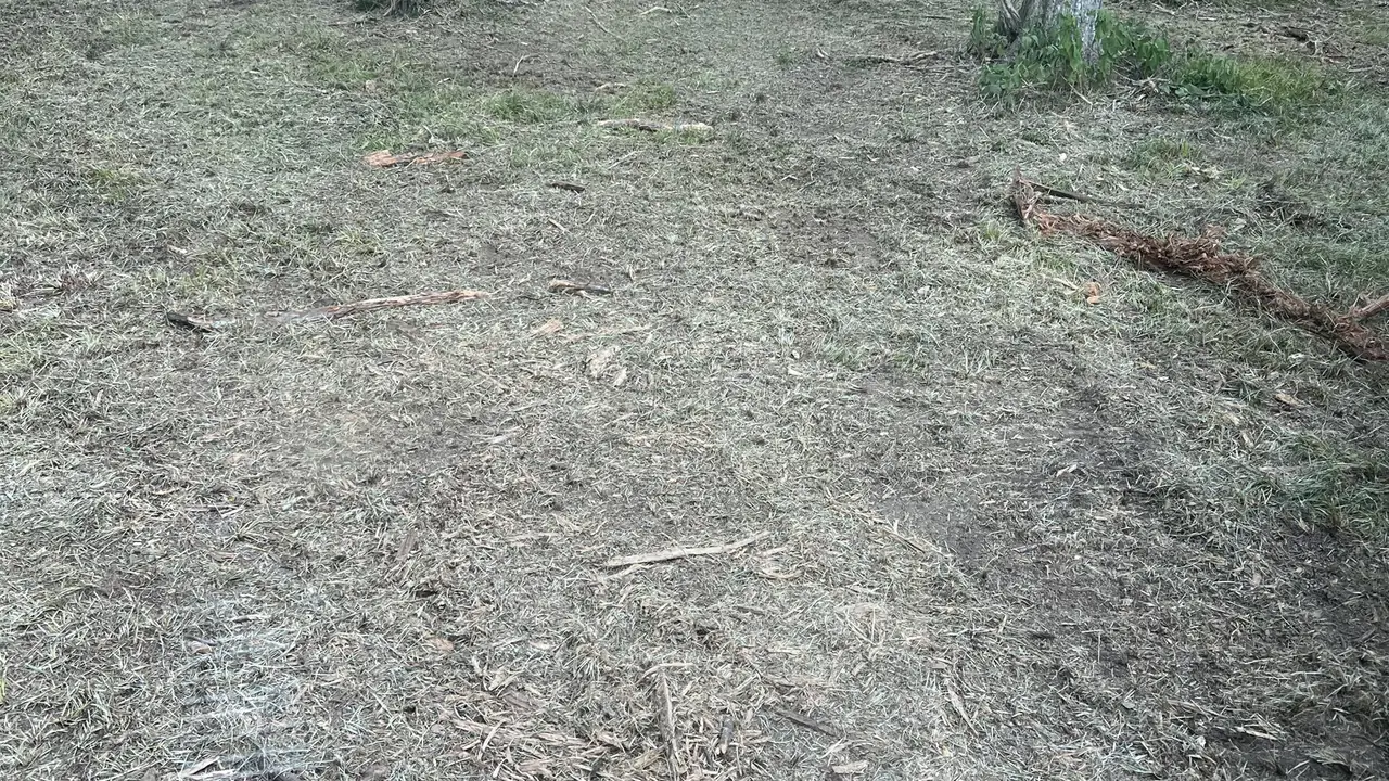 Land clearing in Sugar Land, TX
