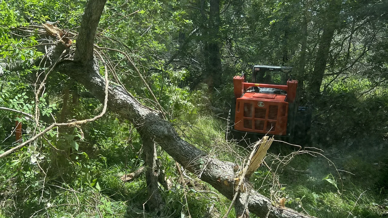 Land clearing in Waller, TX